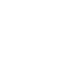 IT-Talent