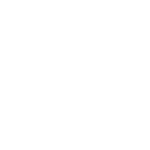 The Qt Company